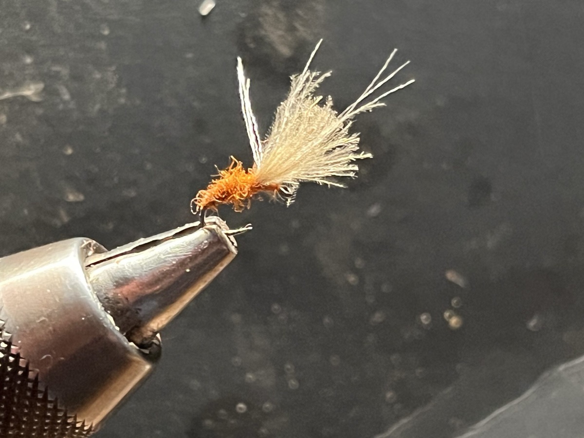 Mole fly fly pattern tied by Michael Terry
