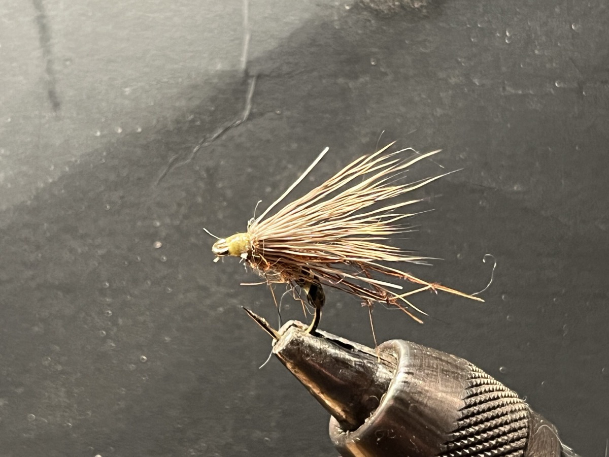 Yellow owl fly pattern tied by Michael Terry