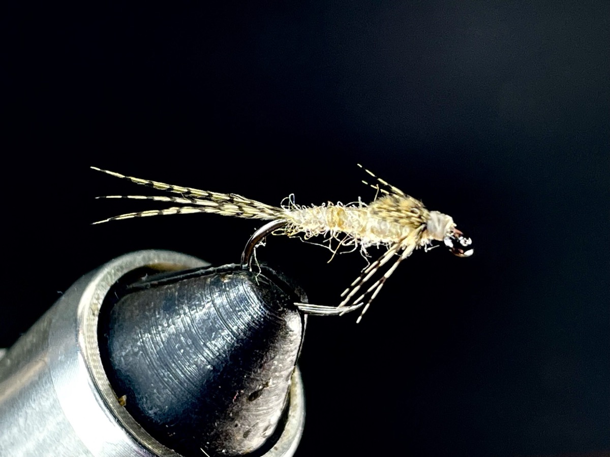 Light Cahill fly pattern tied by Brent Jones