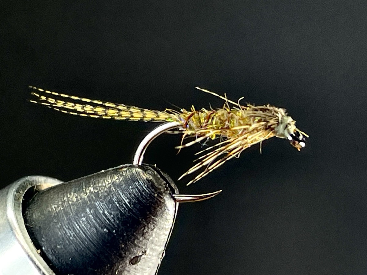 Blue Wing Olive Nymph fly pattern tied by Brent Jones