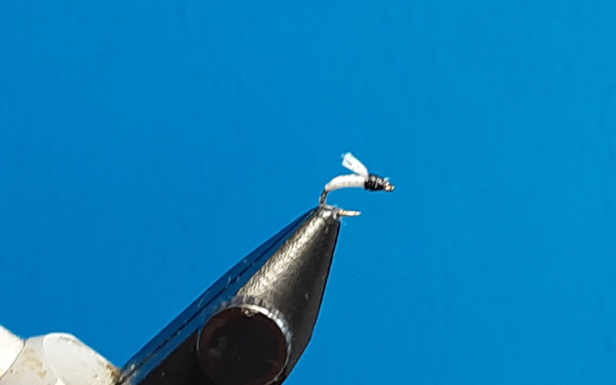 Tiny assassin fly pattern tied by Al Agelwei