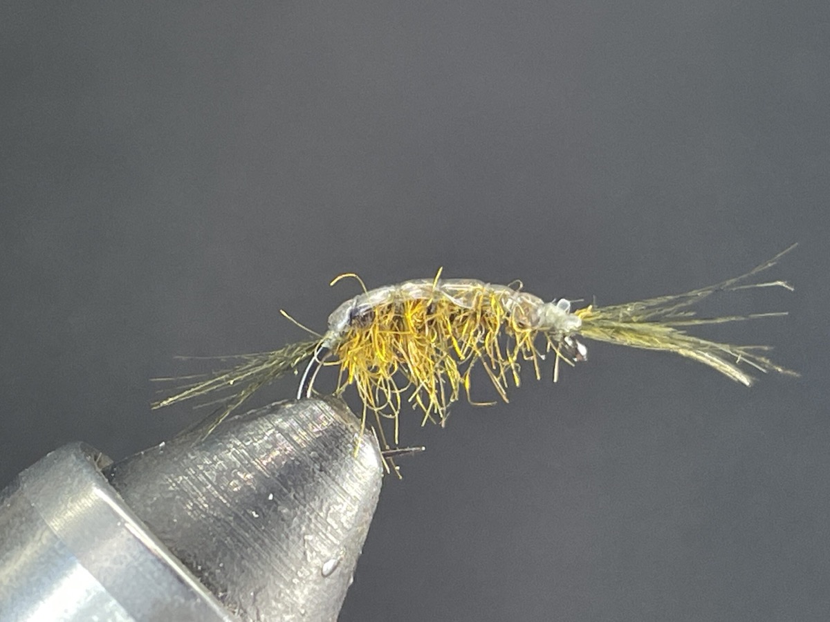 Fan Tail Scud fly pattern tied by Brent Jones