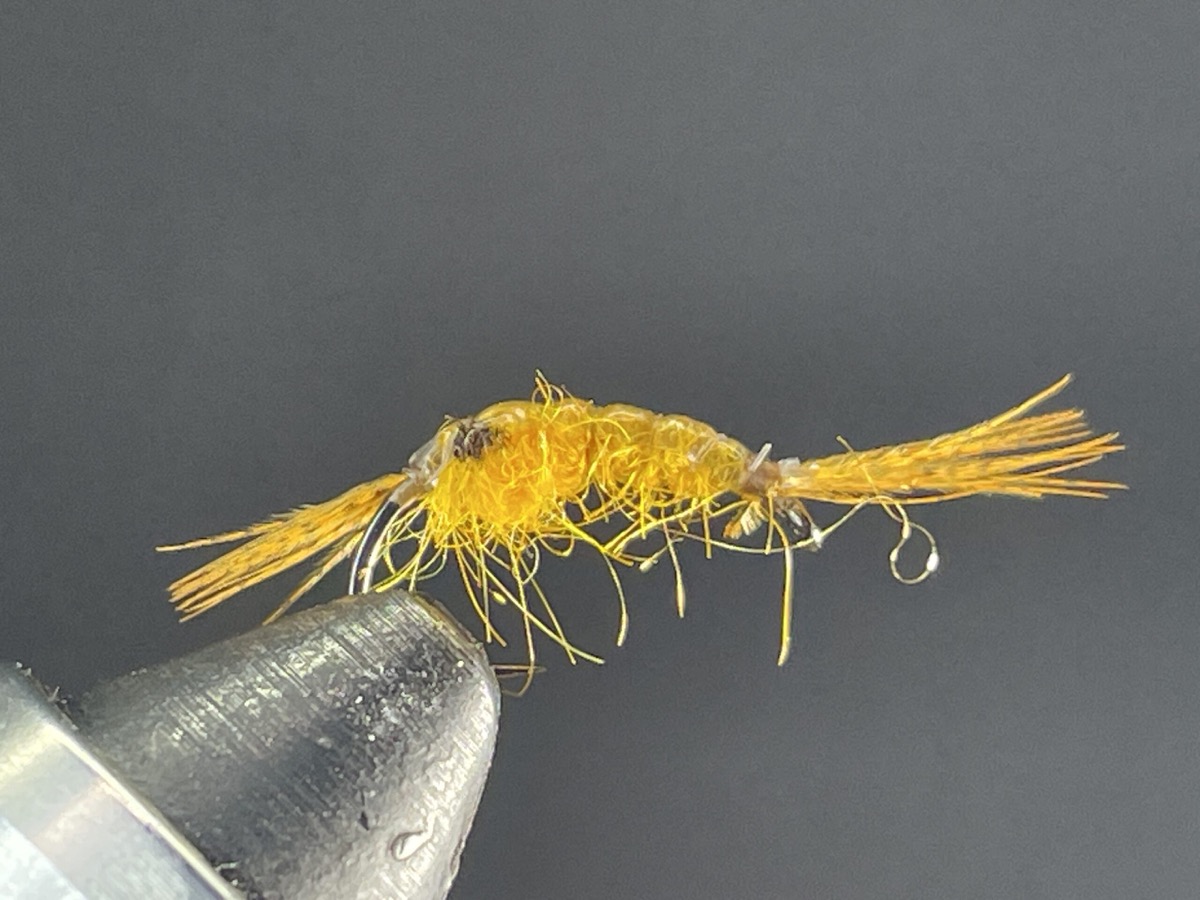 Fan Tail Scud - Amber fly pattern tied by Brent Jones