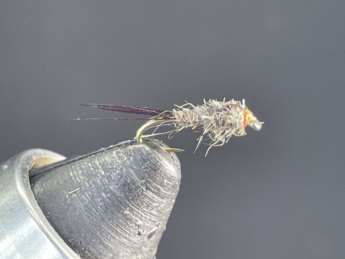 Generic Squirrel Nymph fly pattern tied by Brent Jones