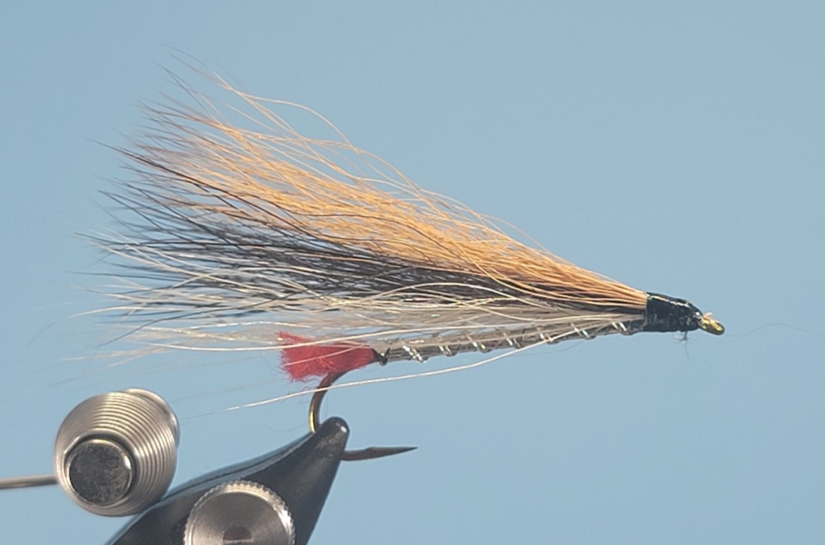 Blacknose Dace Streamer fly pattern tied by Darrell Olson