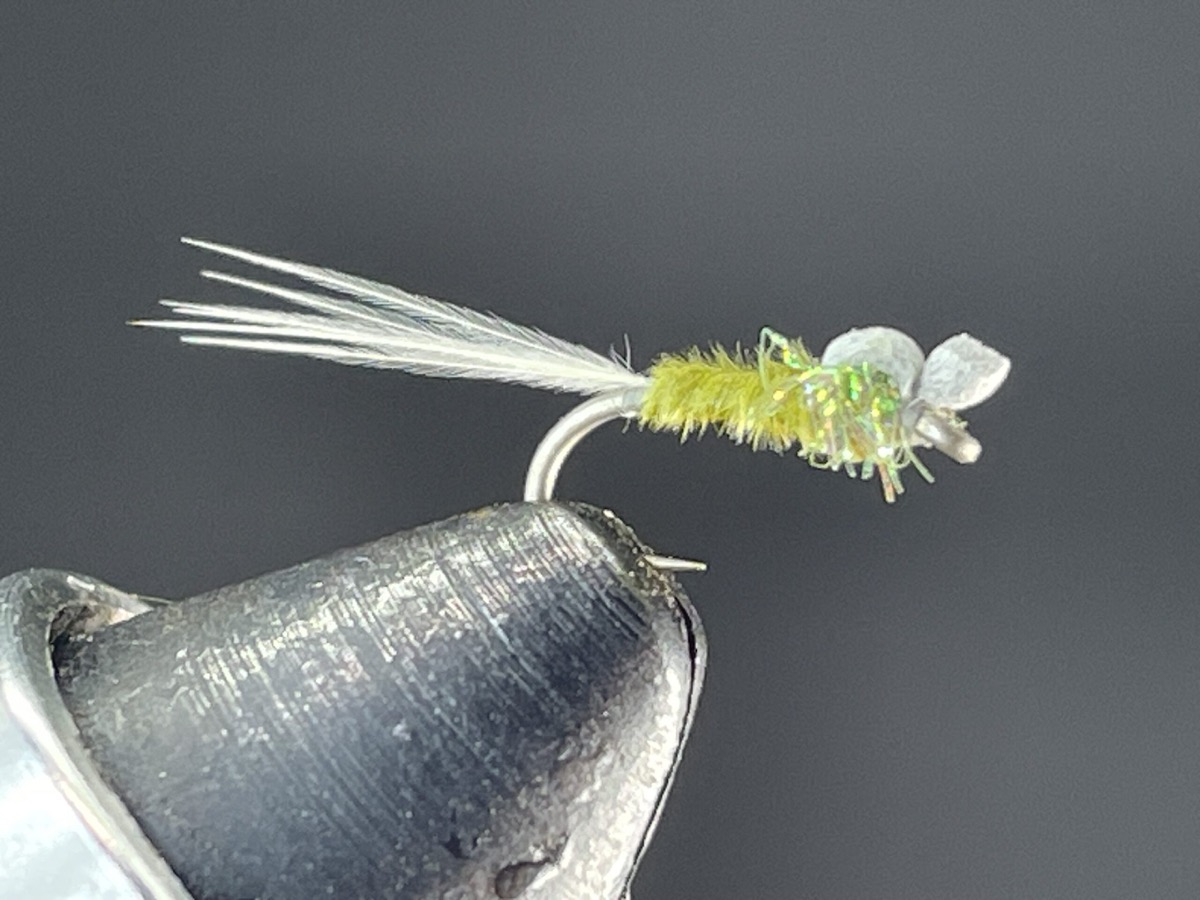 BWO Nymph Foam Back fly pattern tied by Brent Jones