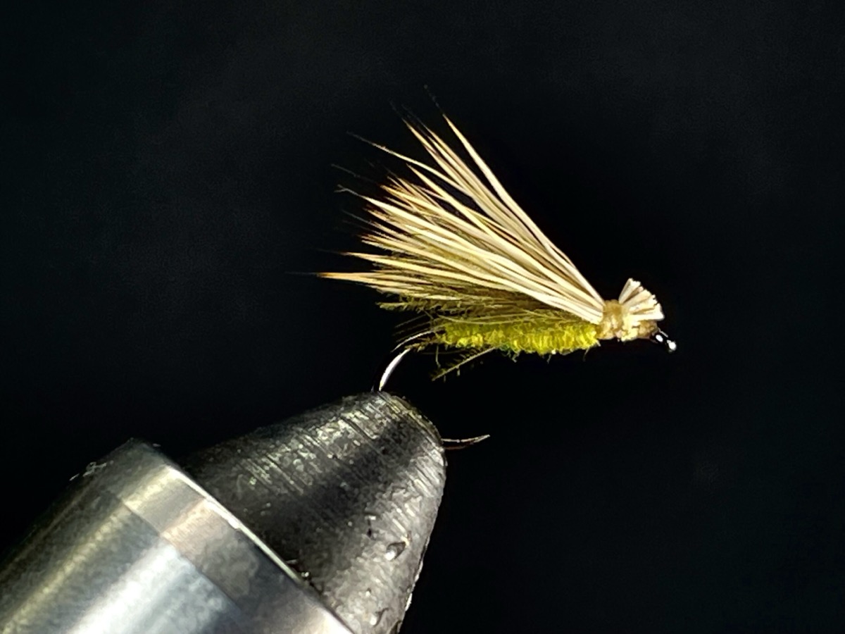 CDC Elk Hair Caddis fly pattern tied by Brent Jones