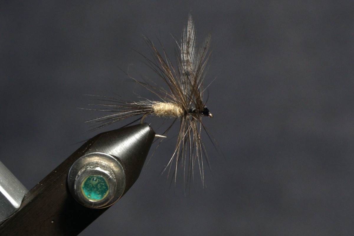 Adult Mayfly - hackle feather tip wings fly pattern tied by Christian Andrews