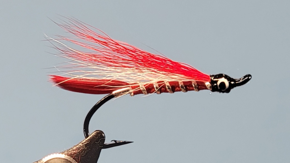 Lady Hamilton fly pattern tied by Darrell Olson