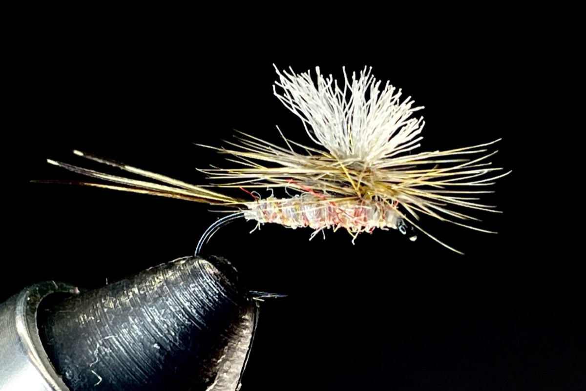 Hendrickson Parachute fly pattern tied by Brent Jones