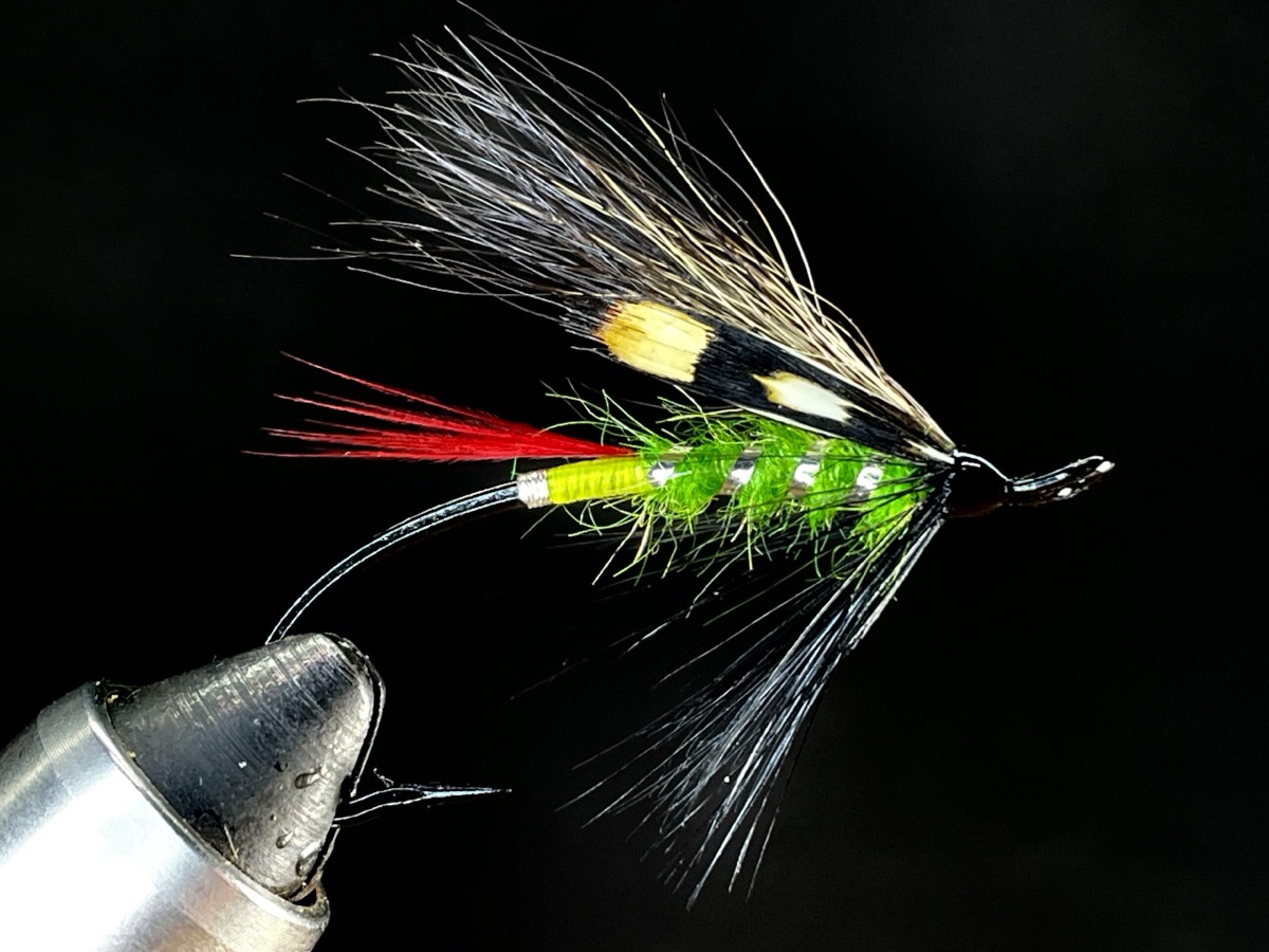Steelhead Kelly fly pattern tied by Brent Jones