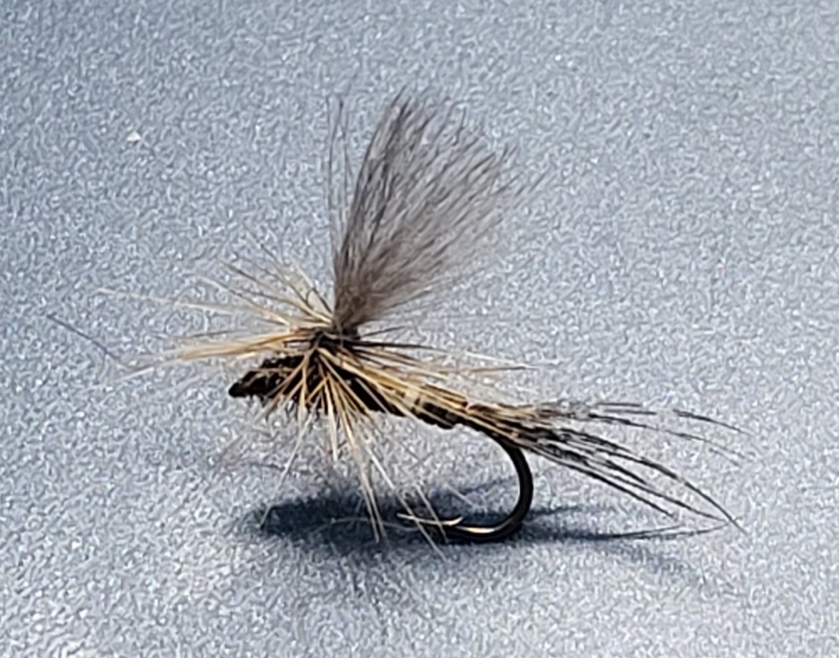 Peccary Parachute Dry Fly fly pattern tied by Will Arrant