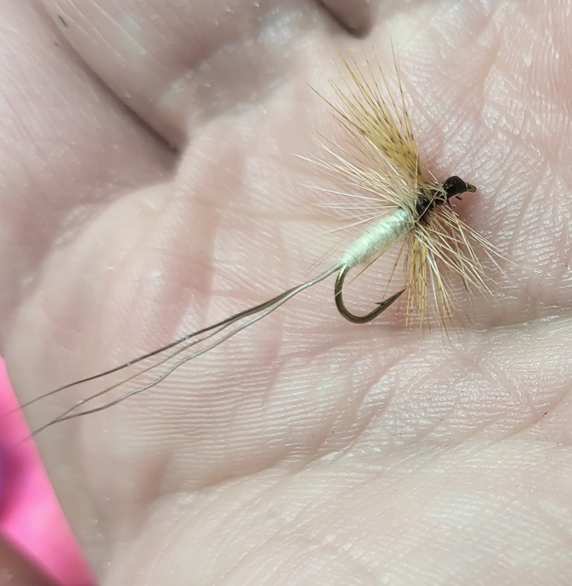 Freestyle Light Cahill fly pattern tied by Will Arrant