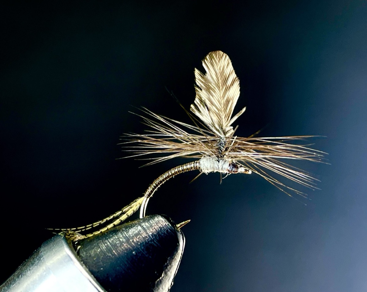Quill Gordon Klinkhammer fly pattern tied by Brent Jones
