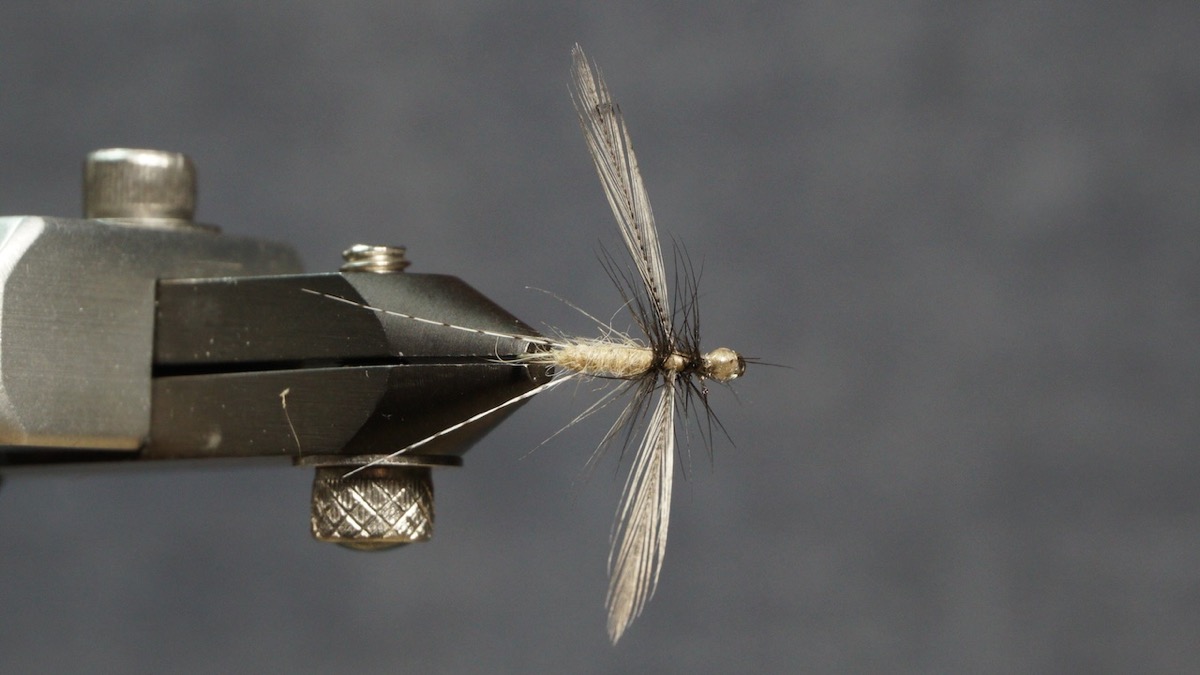 Mayfly spinner (imago) fly pattern tied by Christian Andrews