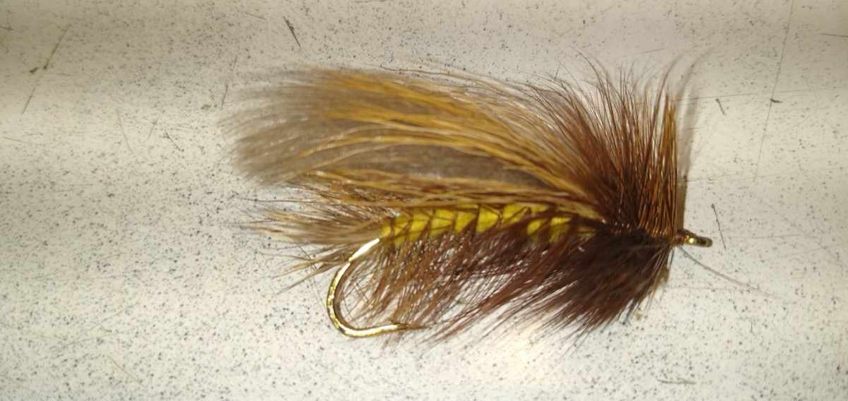 Hairwing Salmonfly 3 fly pattern tied by Andrew Marshall