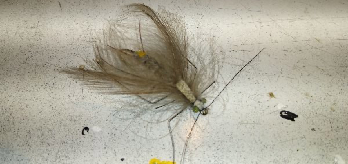 Spent salmonfly fly pattern tied by Andrew Marshall