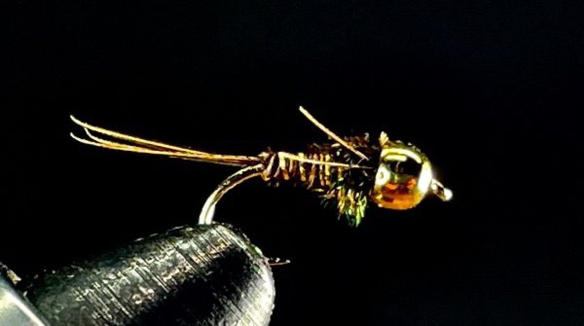 American Pheasant Tail Nymph (PTN) fly pattern tied by Brent Jones