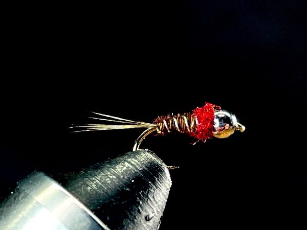Frenchie fly pattern tied by Brent Jones