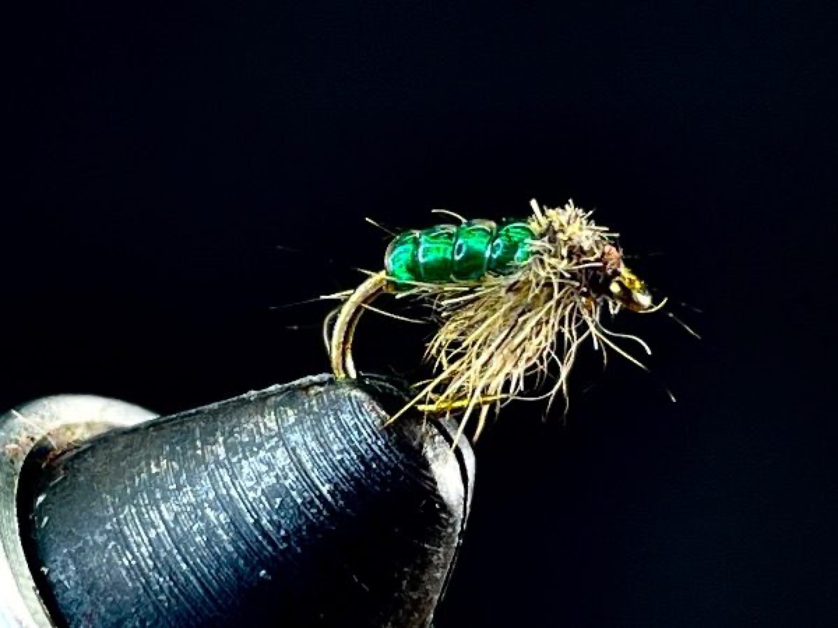 Caddis Pupa Green fly pattern tied by Brent Jones