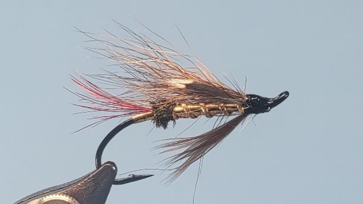 Fool's Gold fly pattern tied by Darrell Olson