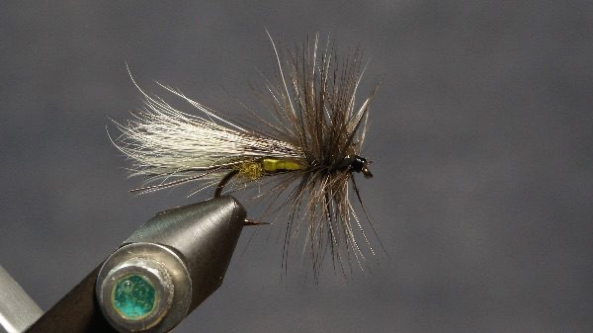 Stonefly adult fly pattern tied by Christian Andrews