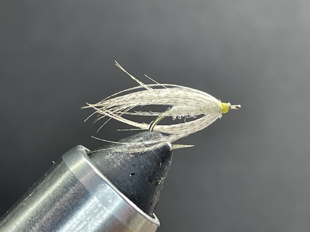 Peute fly pattern tied by Brent Jones