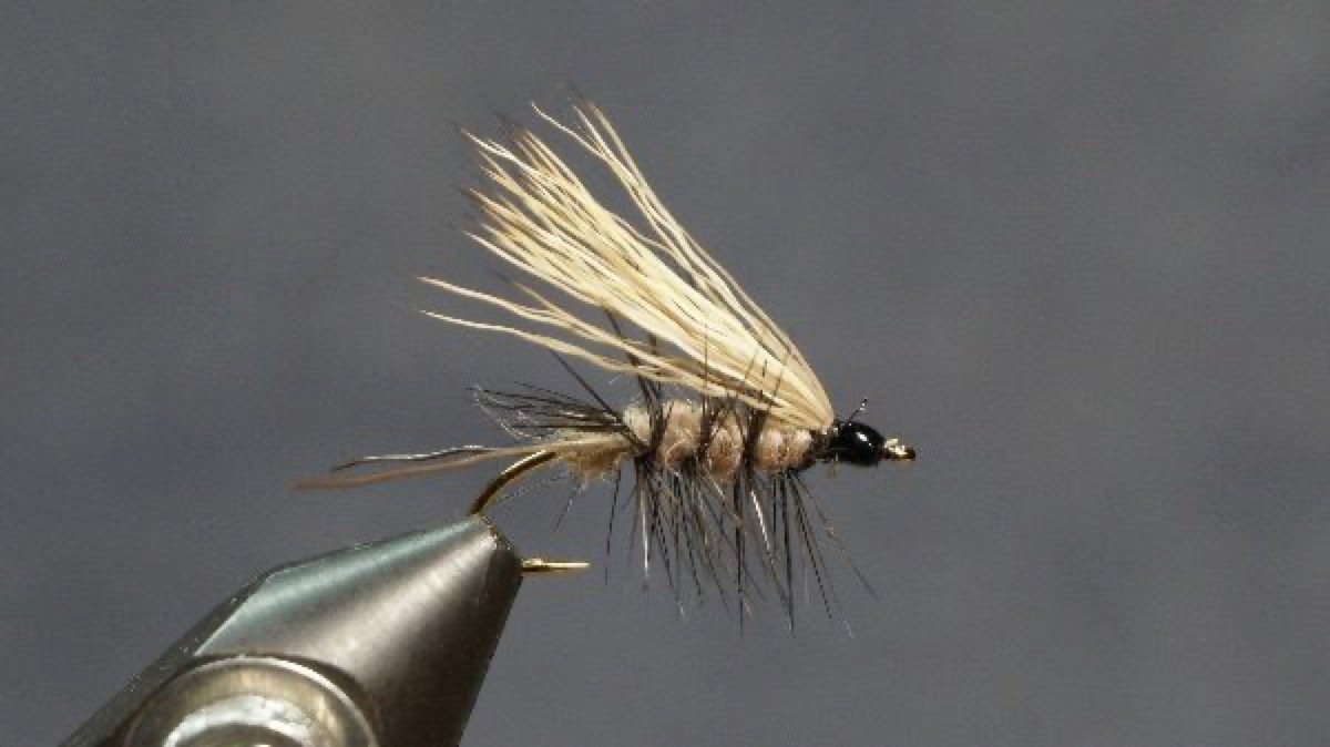 Caddisfly Adult fly pattern tied by Christian Andrews