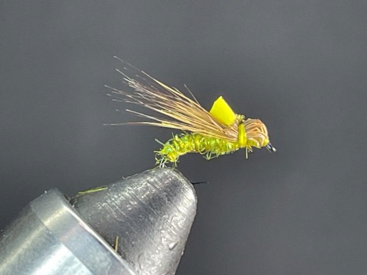 Hair Head Balloon Caddis fly pattern tied by Brent Jones