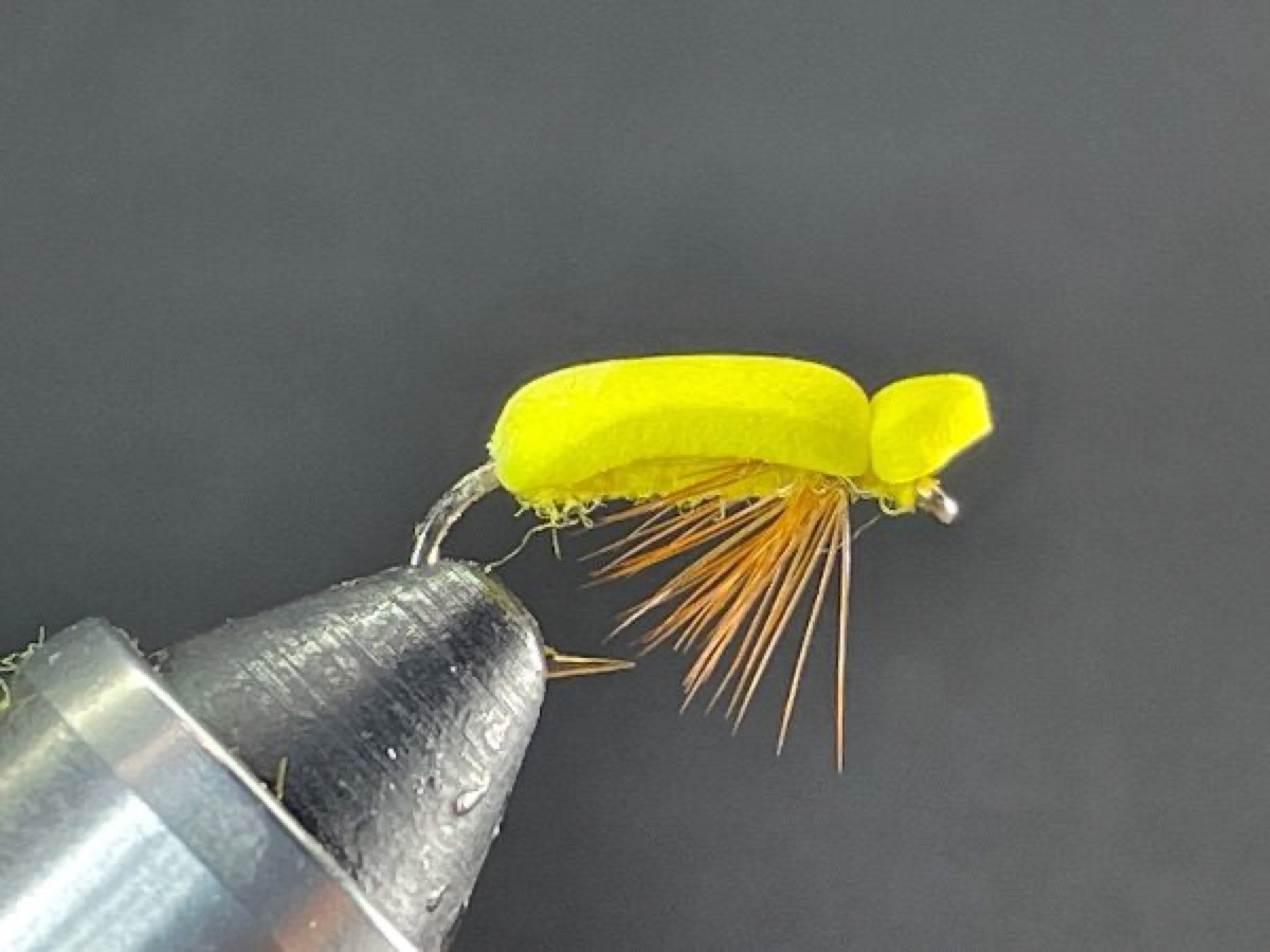 Gum Beetle fly pattern tied by Brent Jones