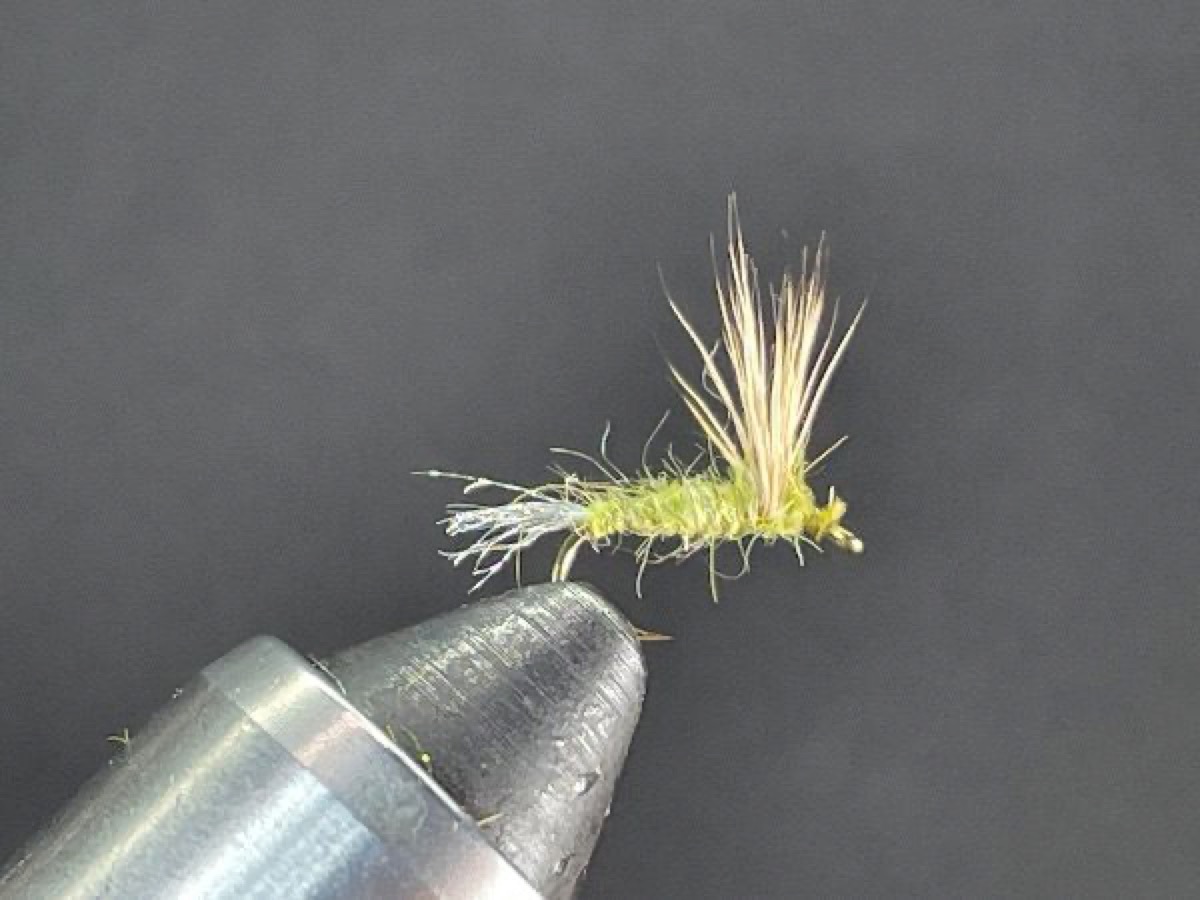 Sparkle Dun fly pattern tied by Brent Jones