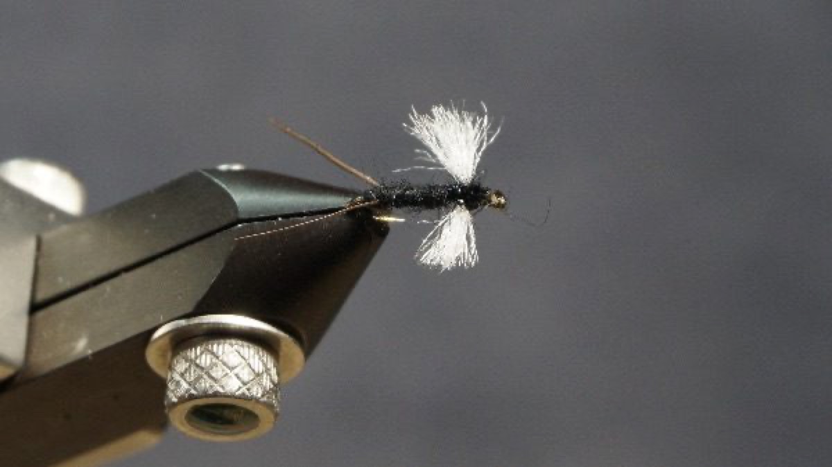 Midge Adult fly pattern tied by Christian Andrews