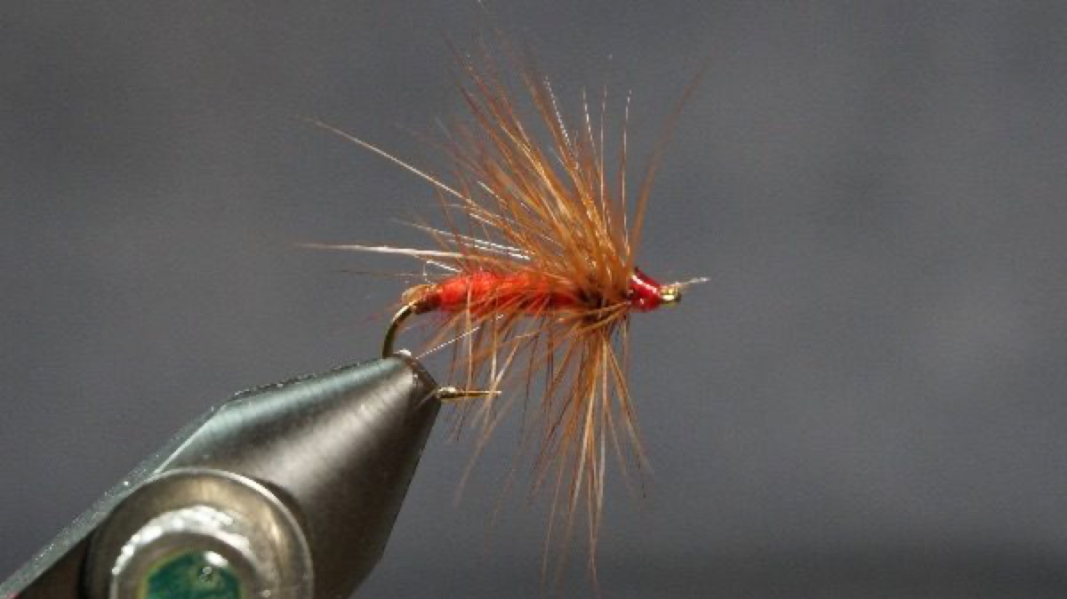 Palmered Soldier fly pattern tied by Christian Andrews