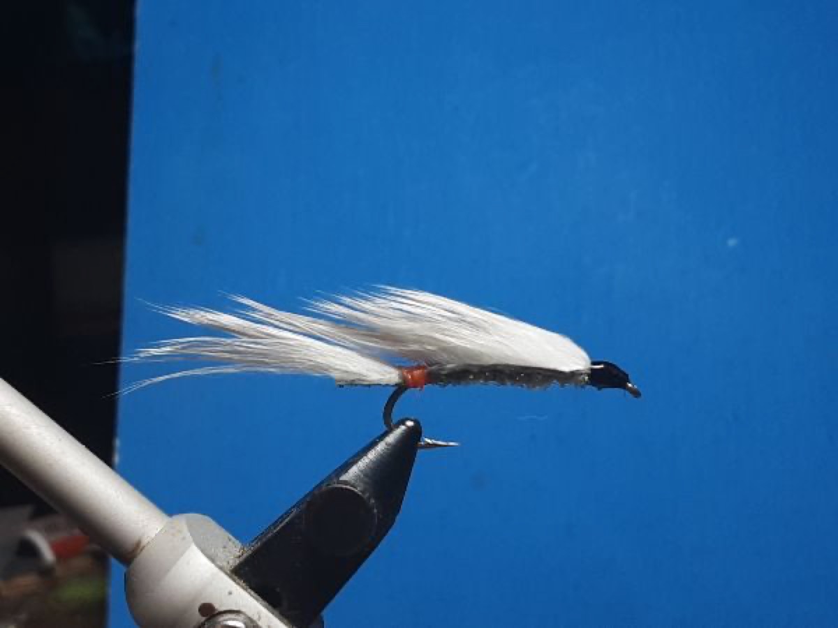 White Death fly pattern tied by Al Agelwei