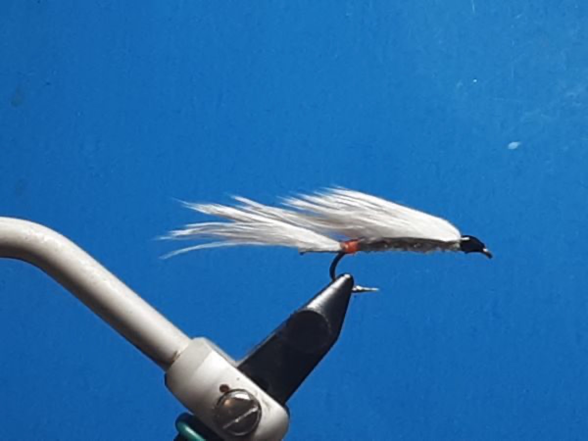 White Death fly pattern tied by Al Agelwei