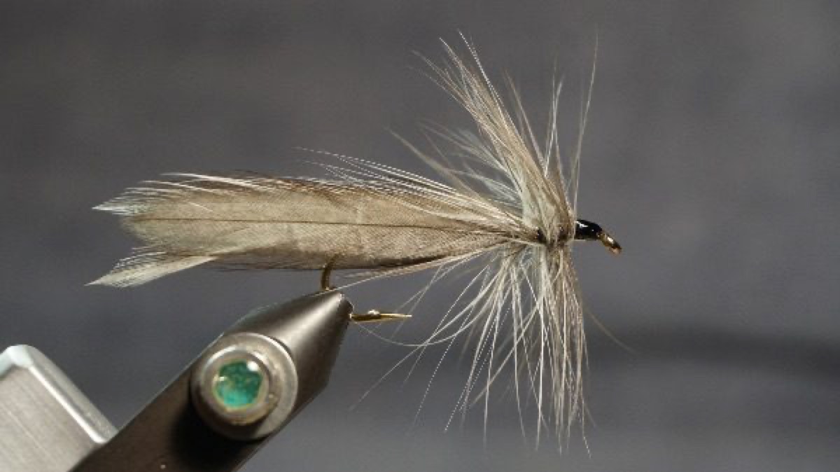 Hackle-Wing Streamer fly pattern tied by Christian Andrews