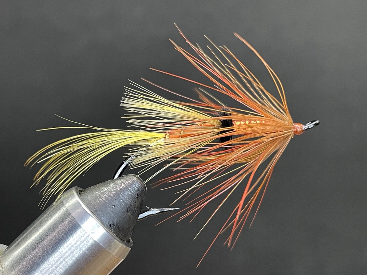 Golden Pheasant Spey fly pattern tied by Brent Jones