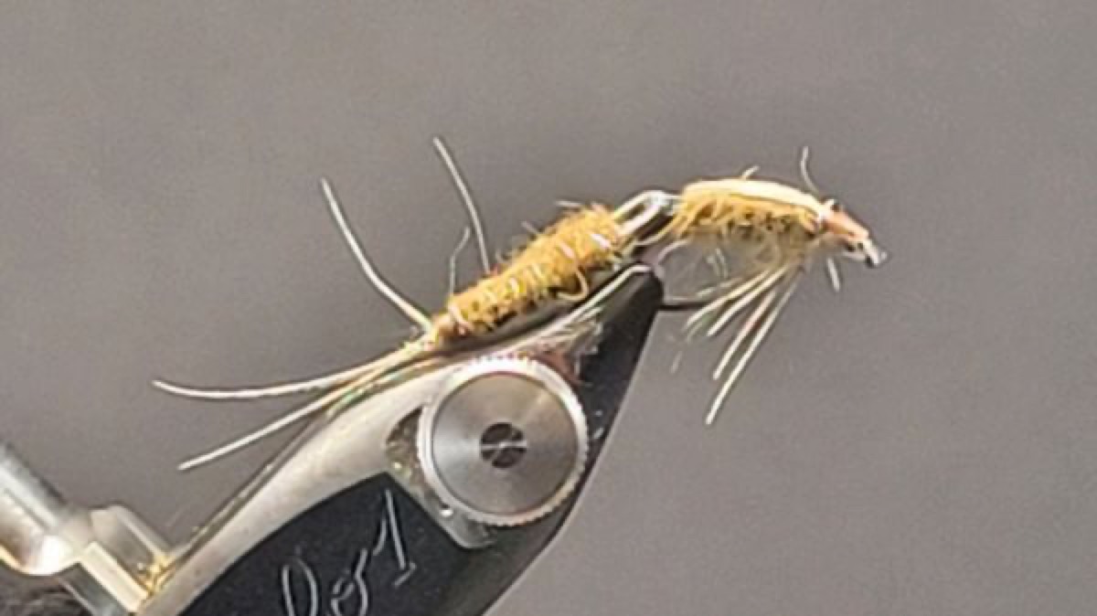 The BWO Wiggle Nymph fly pattern tied by Darrell Olson