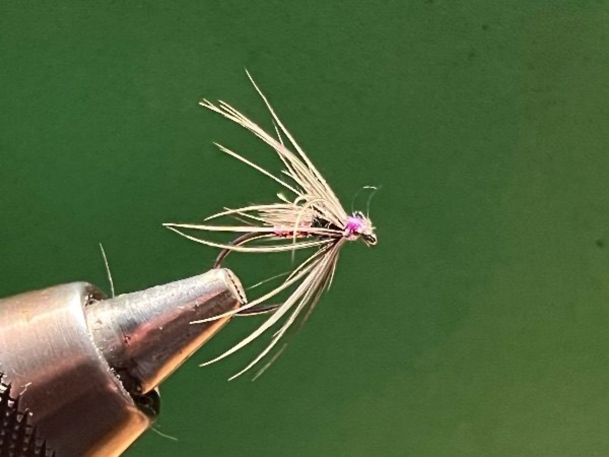 Spider fly pattern tied by Michael Terry
