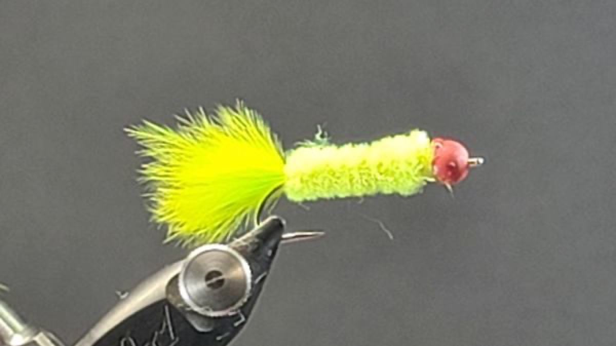 O'Niell's Shad Crack fly pattern tied by Darrell Olson