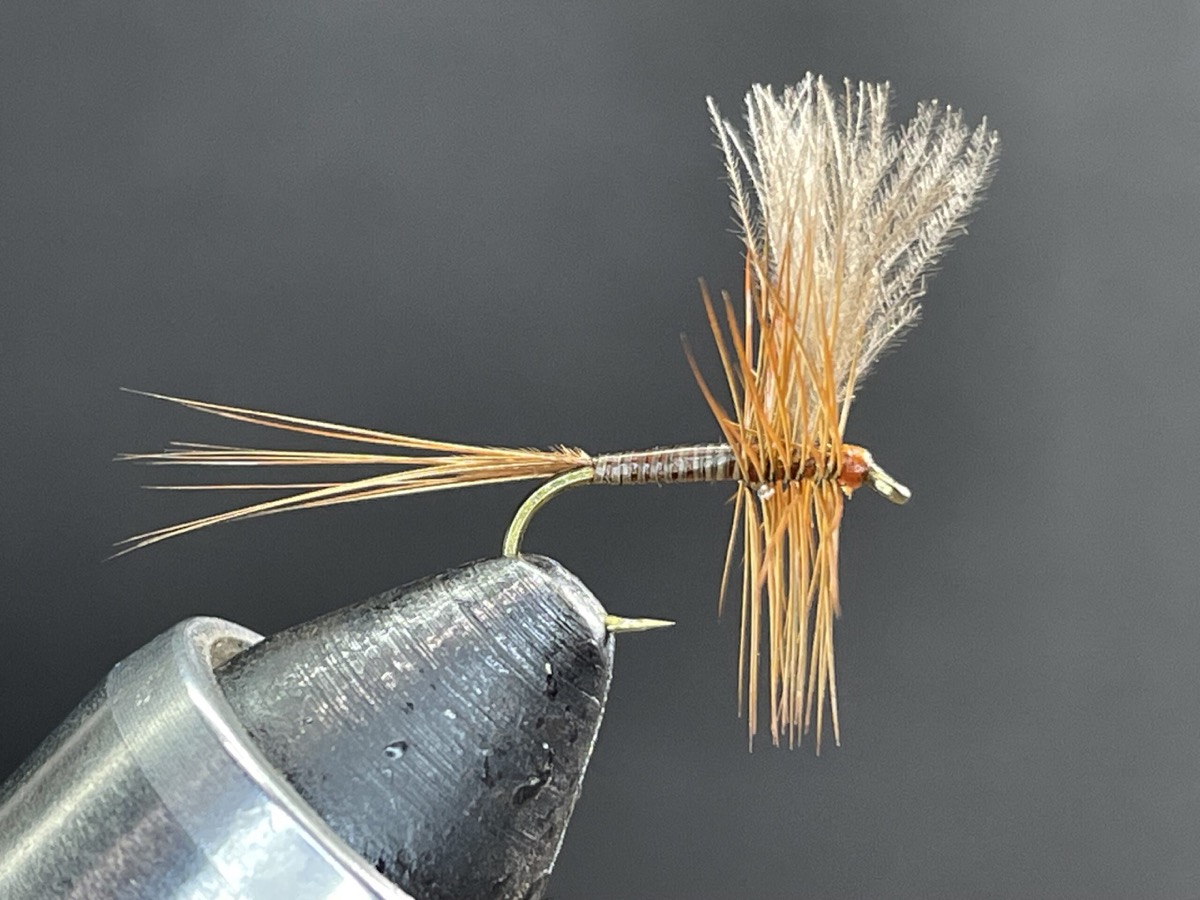 Red Quill fly pattern tied by Brent Jones