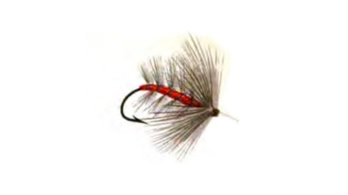 Ashy fly pattern tied by Christian Andrews