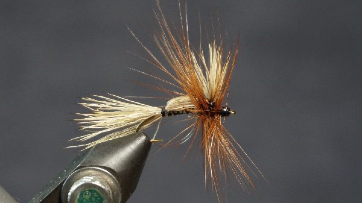 Humpy Variation fly pattern tied by Christian Andrews