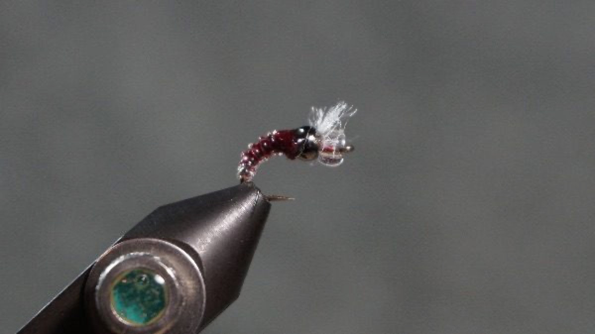 Stretch Cord Gilled Midge with Air Bubble fly pattern tied by Christian Andrews
