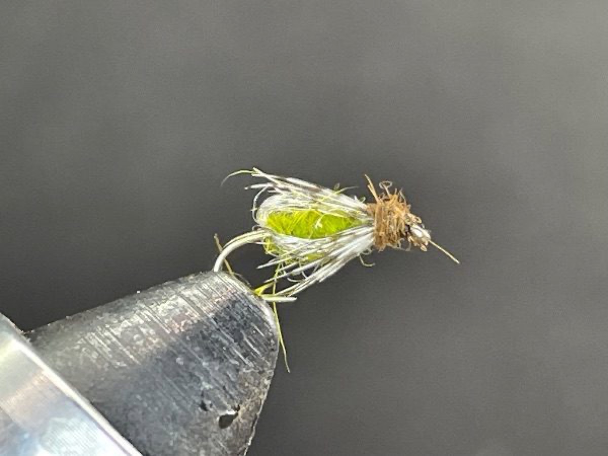 Sparkle Pupa Olive & Cream fly pattern tied by Brent Jones
