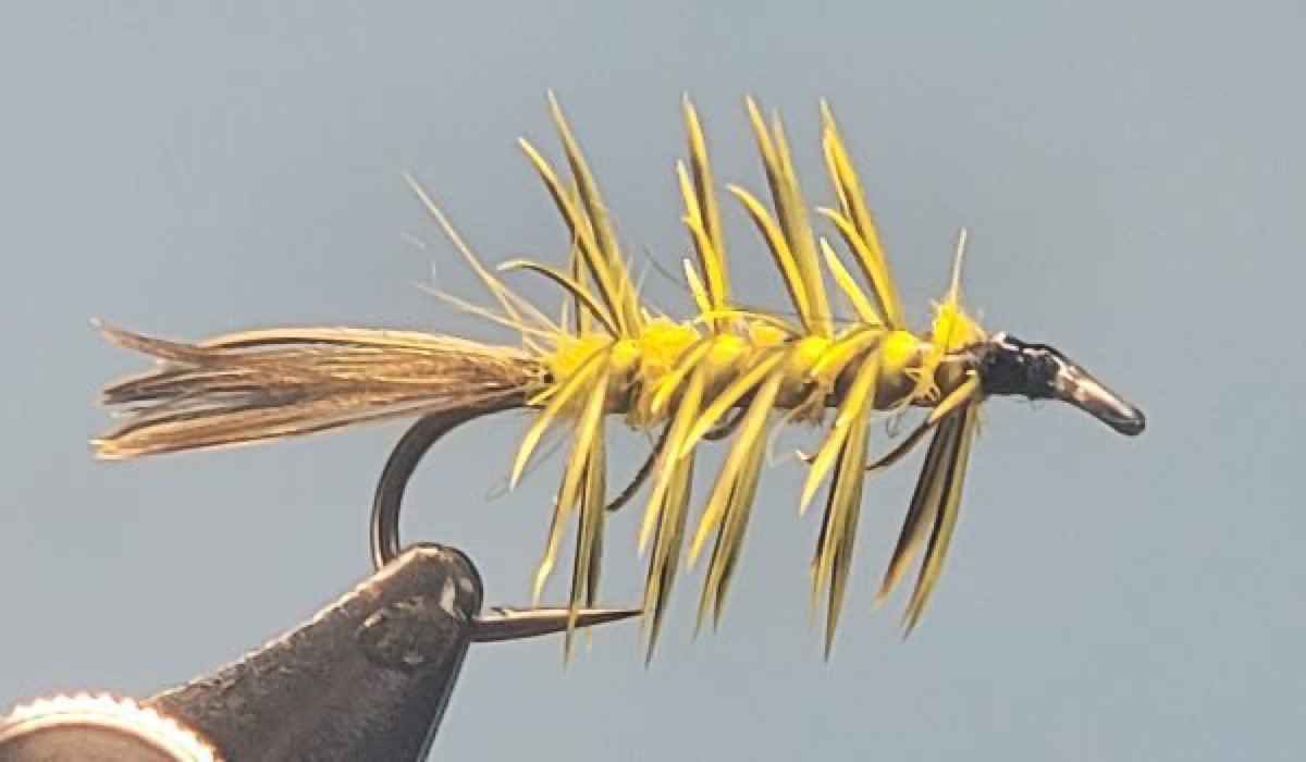 The Yaller Hammer fly pattern tied by Darrell Olson