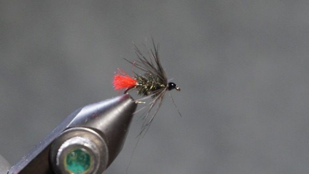 Zulu fly pattern tied by Christian Andrews