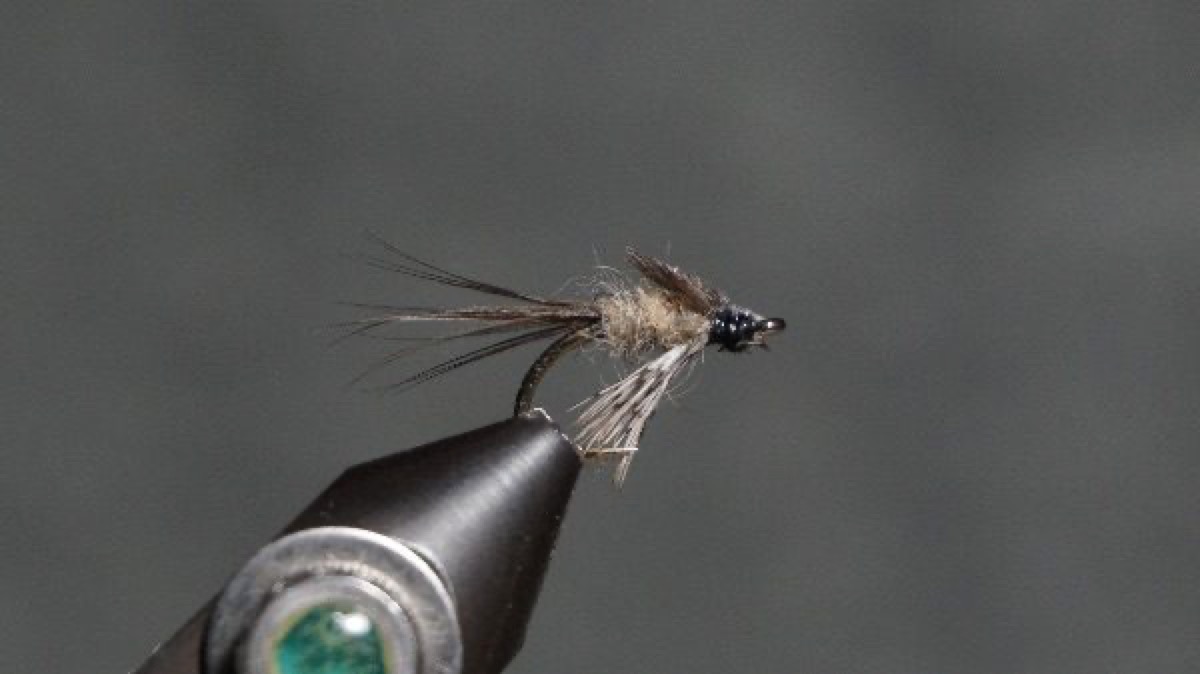Freshwater Shrimp / Scud fly pattern tied by Christian Andrews