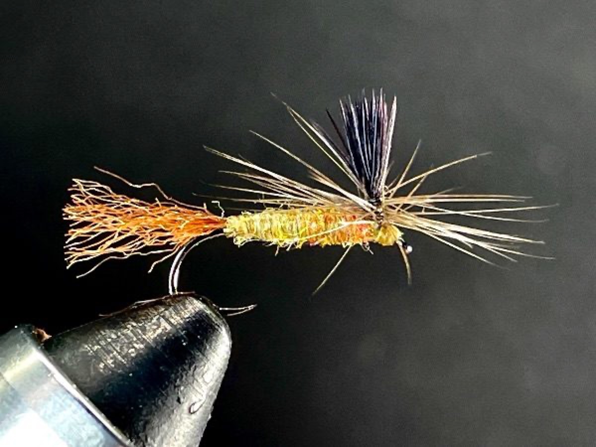 Feather Tip Para Emerger fly pattern tied by Brent Jones