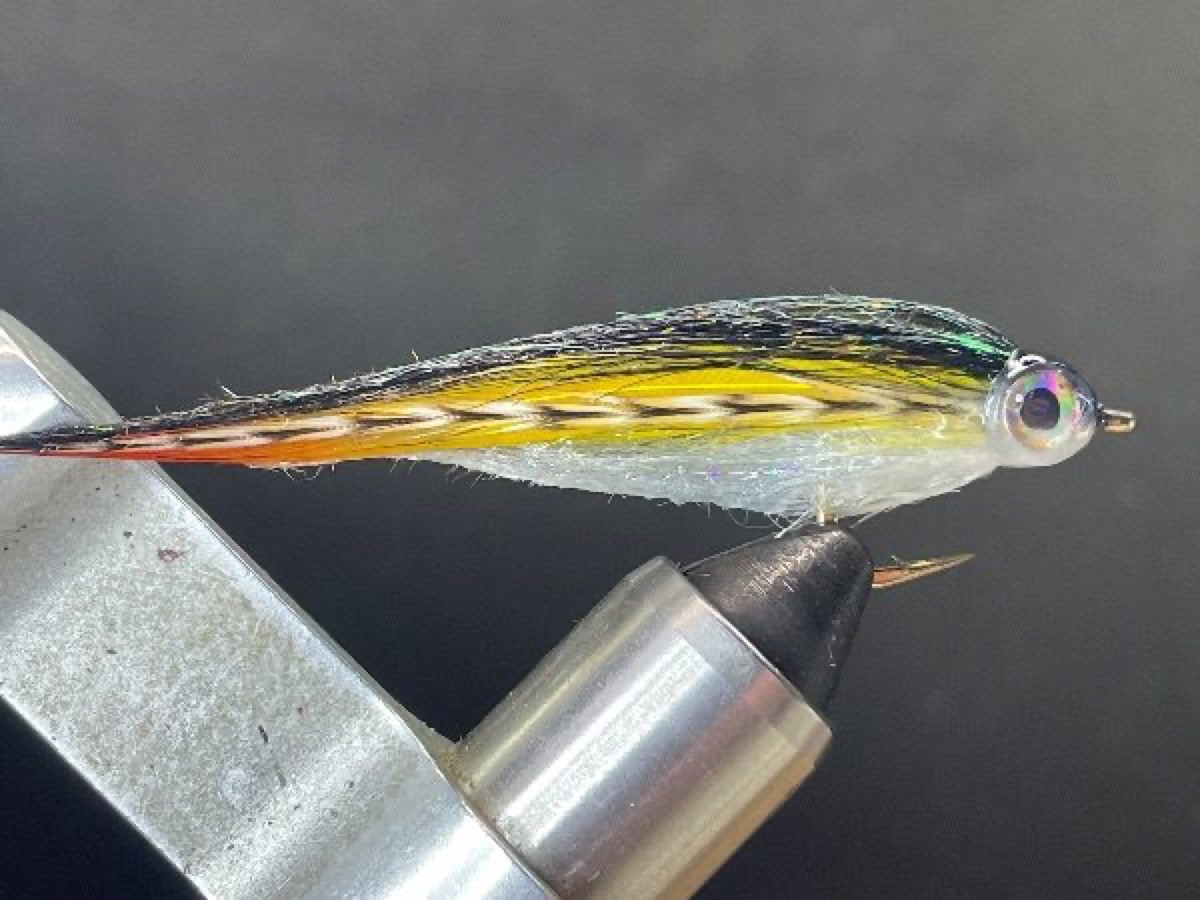 Perch Pattern fly pattern tied by Brent Jones